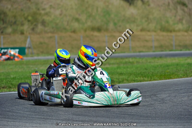 DSC_ (1391).jpg